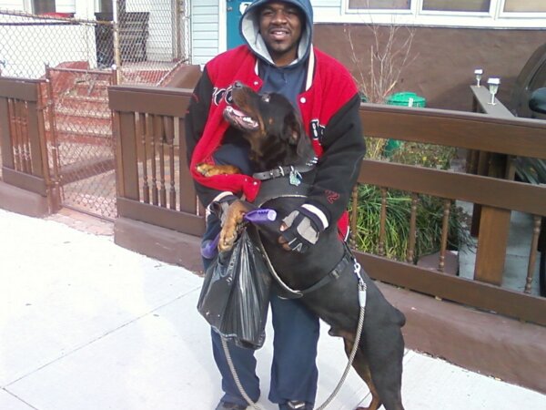 Mr.Winston and Cannonball after a hard day's work.